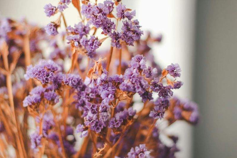 Einführung in die Kunst des Makramees: Tipps für Anfänger